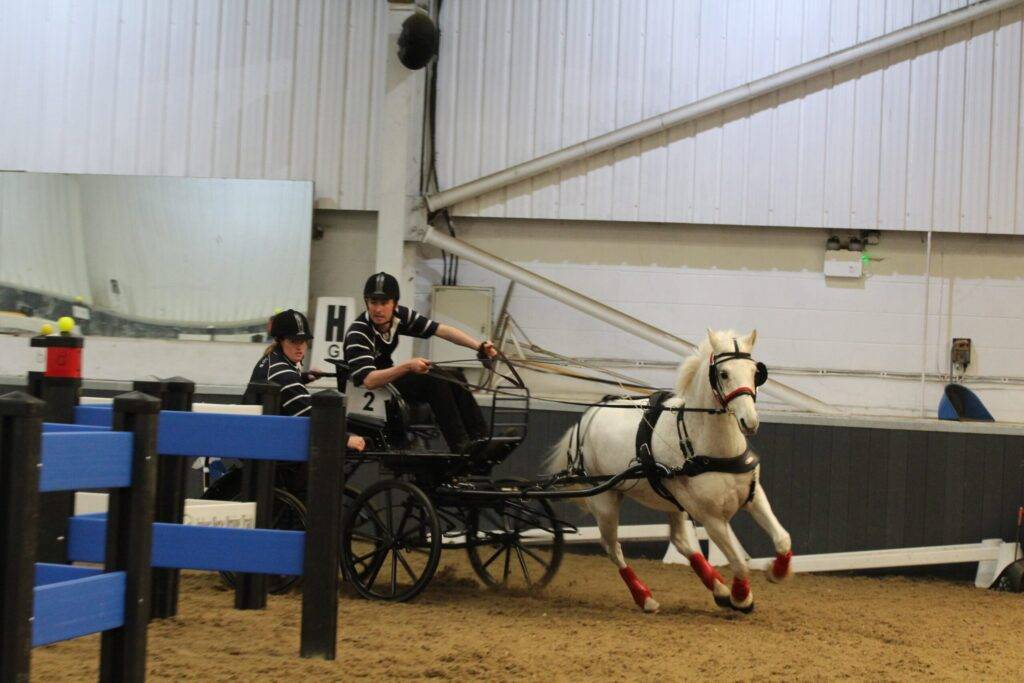 British National Indoor Carriage Driving Championships – a win for the ponies!